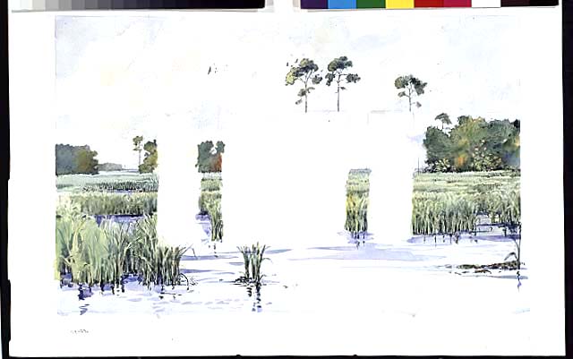 Maritime hammock mural background.