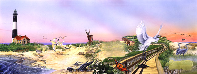 Barrier Island profile: Illustrated compressed panorama of ocean/beach, dune/forest, and marsh/bay habitats representing the interdependence of the ecological zones