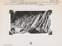 hfca_1607_iva_027_36_021_3960_a. Logging & Lumbering: A woodpile 100’ long, 20’ wide, a 6’ high, split and piled to be burned by C.C.C. enrollees. Negative #: 3960. Locality: Summit Meadow, Lassen Volcanic National Park, California.