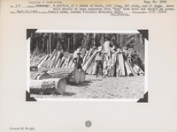 hfca_1607_iva_027_36_021_3959_a. Logging & Lumbering: A portion of a stack of wood, 100’ long, 20’ wide, and 6’ high. Good wood should be kept separate from “bug” tree wood and should be saved. Negative #: 3959. Locality: Summit Meadow, Lassen Volcanic National Park, California.