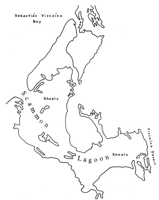 Map of Scammon Lagoon, a major breeding area of the California Gray whale.