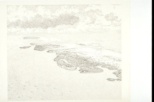 aerial view of Laguna Madre