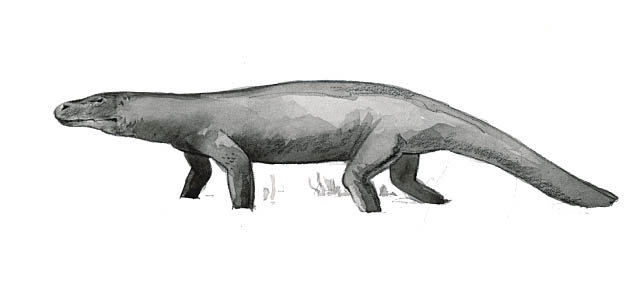 Chirotherium, a lizard-like reptile that lived along the humid, tropical land of tidal mudflats and deltas of prehistoric Capitol Reef National Park.