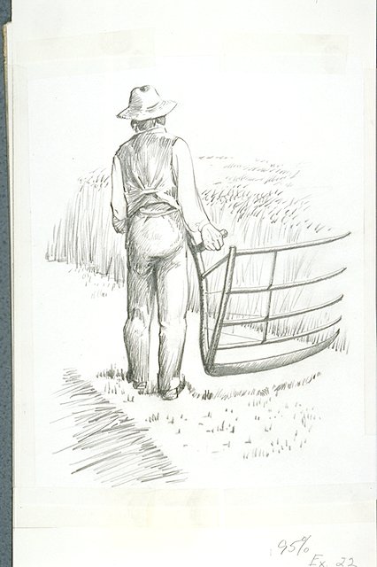 Farmer harvesting wheat with a grain cradle or cradle scythe.