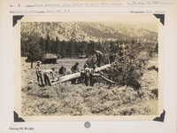 hfca_1607_iva_023_35_018_noneg15_a. Trees – Ponderosa pine, killed by Black Hills beetle. Eradication by CCC workers. No negative on file. Locality: Rocky Mountain National Park.