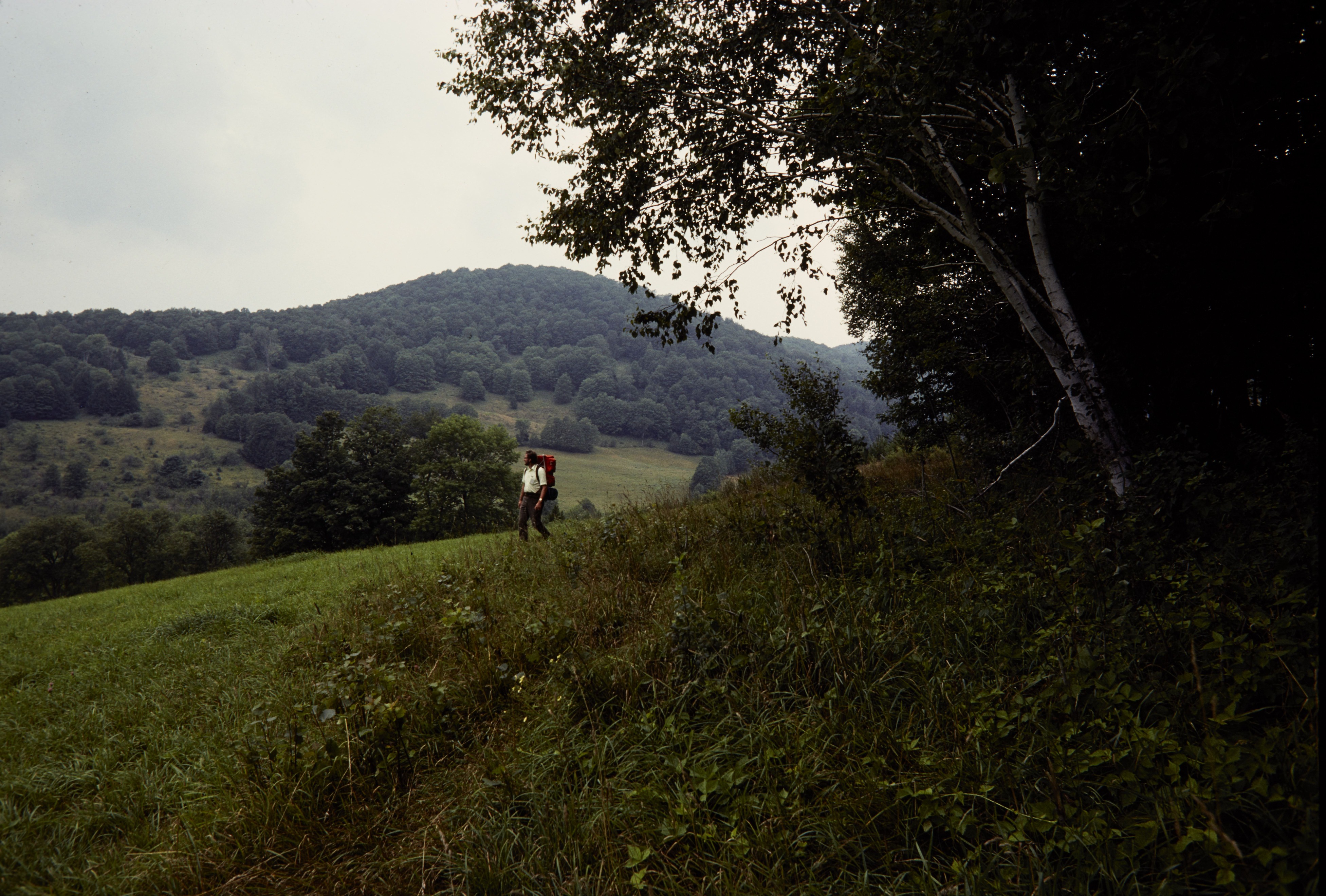 HFCA 1607_People Volume 1_188.jpg. Man walking on the Appalachian National Scenic Trail.