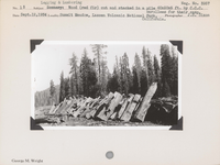 hfca_1607_iva_027_36_021_3957_a. Logging & Lumbering: Wood (red fir) cut and stacked in a pile 60x20x5 ft. by C.C.C. enrollees for their camp. Negative #: 3957. Locality: Summit Meadow, Lassen Volcanic National Park, California.