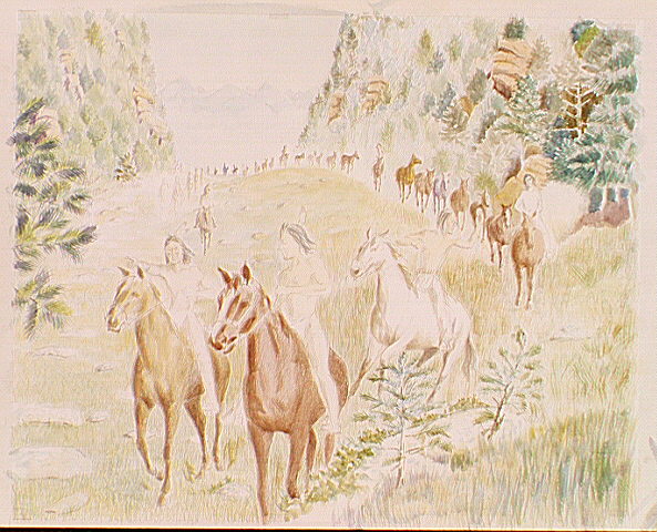 Nez Perce moving ponies and horses over the Bitterroot Mountains along the Lolo Trail.