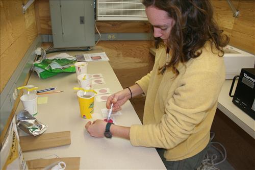A SCA intern is checking for the growth of bacteria from various water samples.