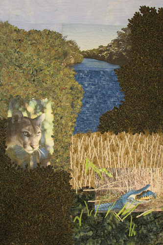 A panther and alligator in an everglade