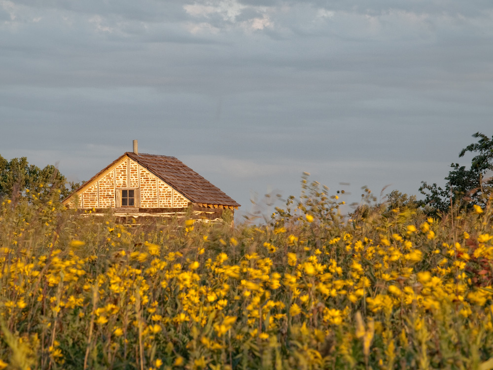 A homestead cabin with flowers