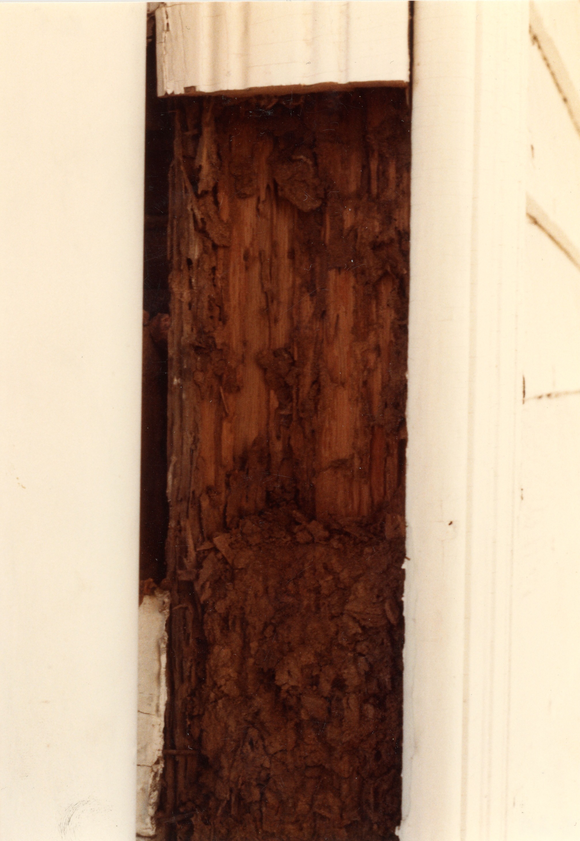 Stud on nw corner music room