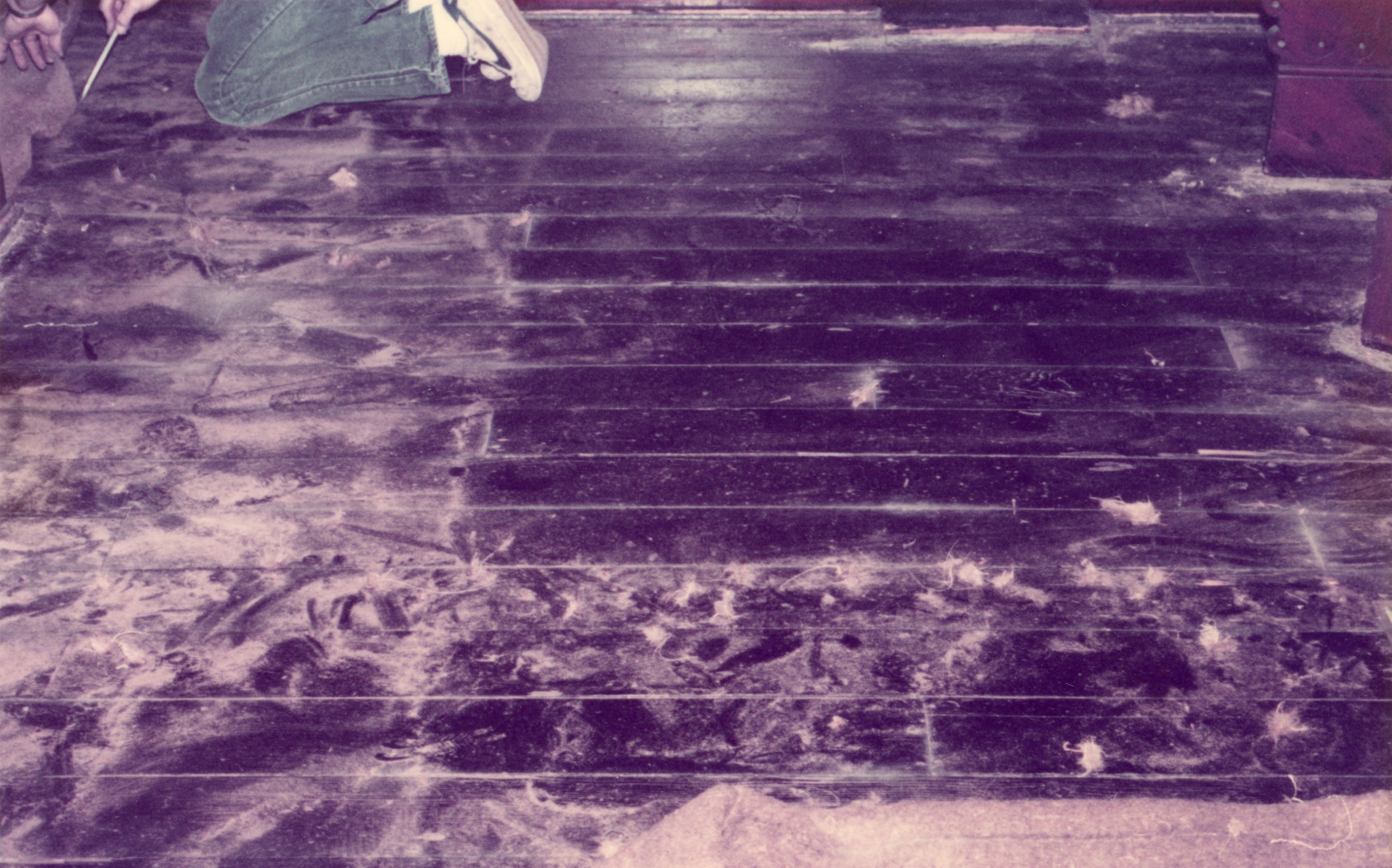 dining room wood floor