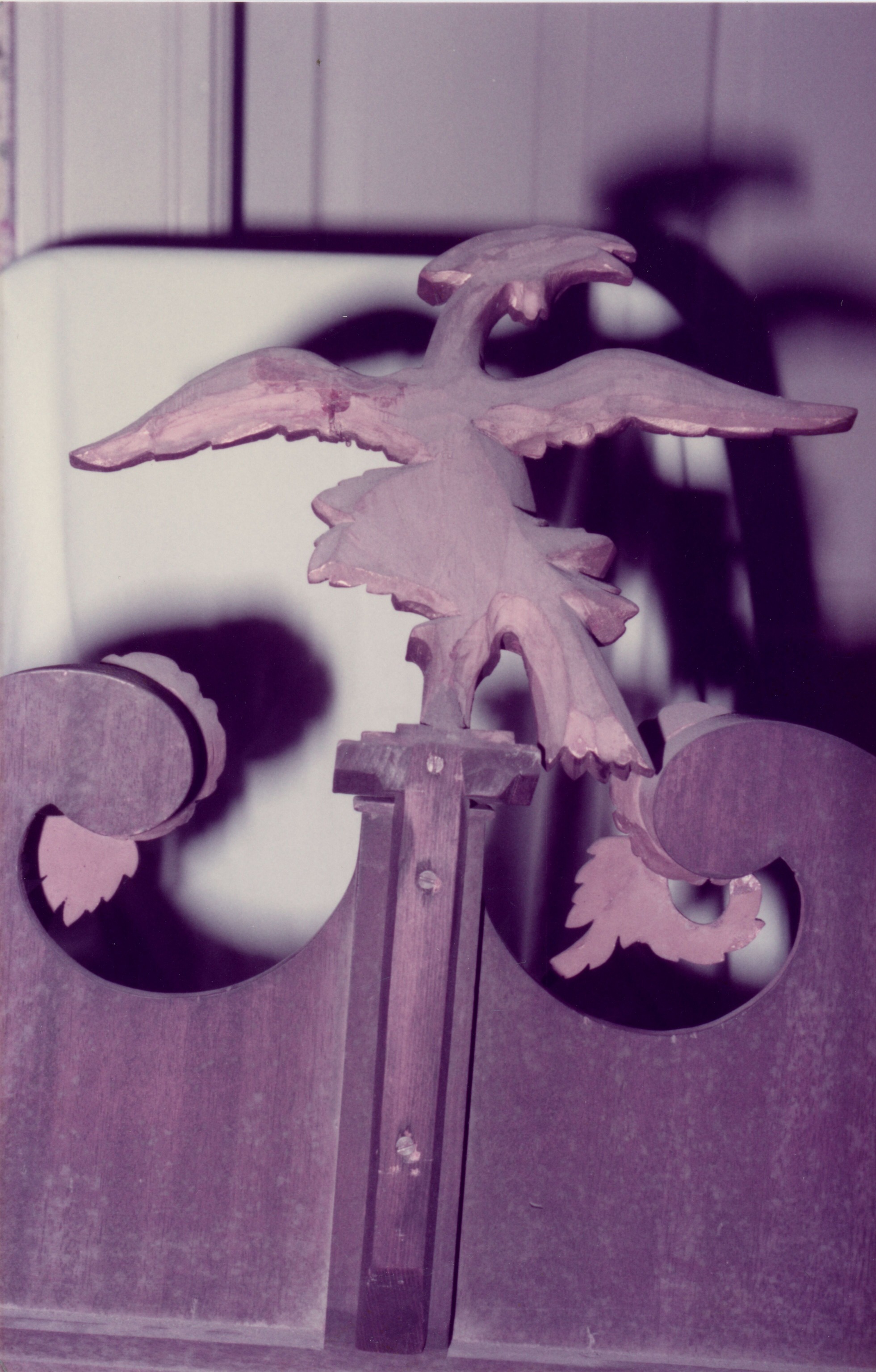 cat #417 eagle top view