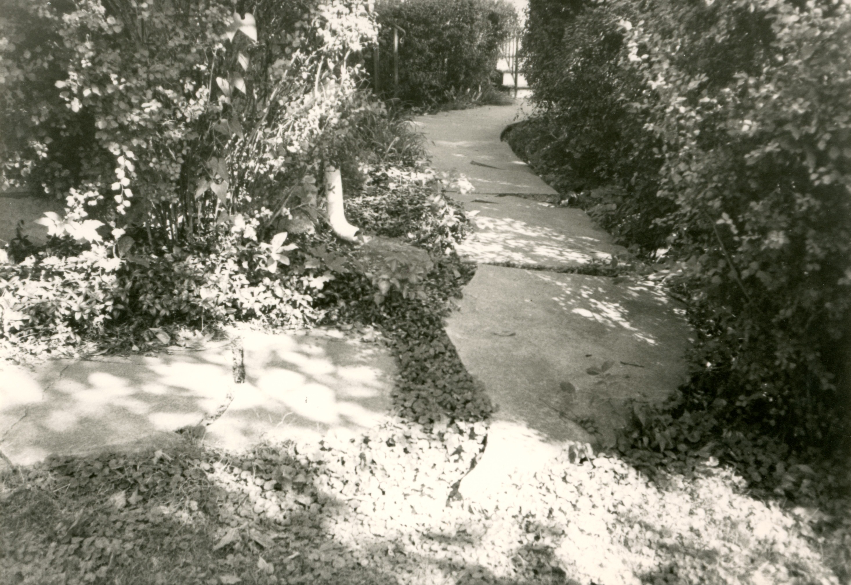 Southern side of home sidewalk documentary image