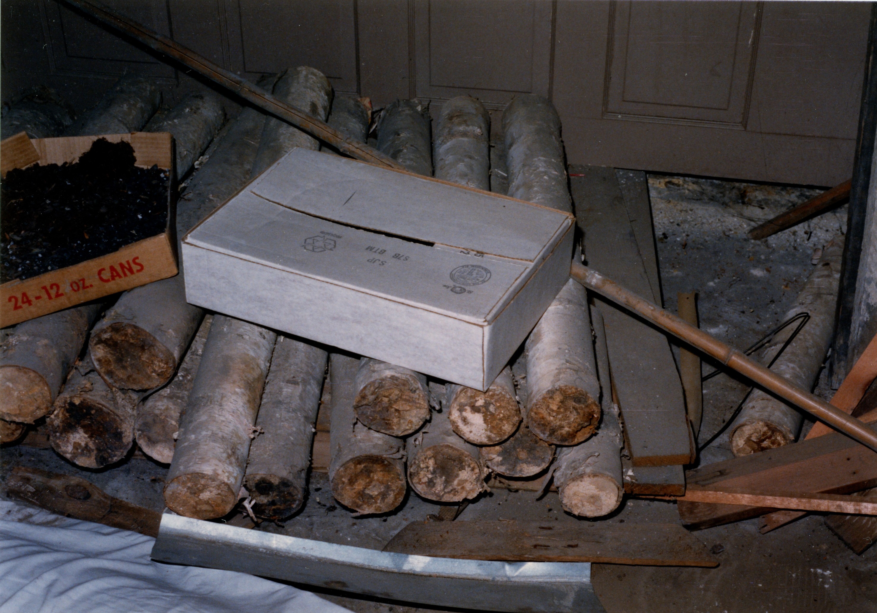 Wood logs along west wall space 004