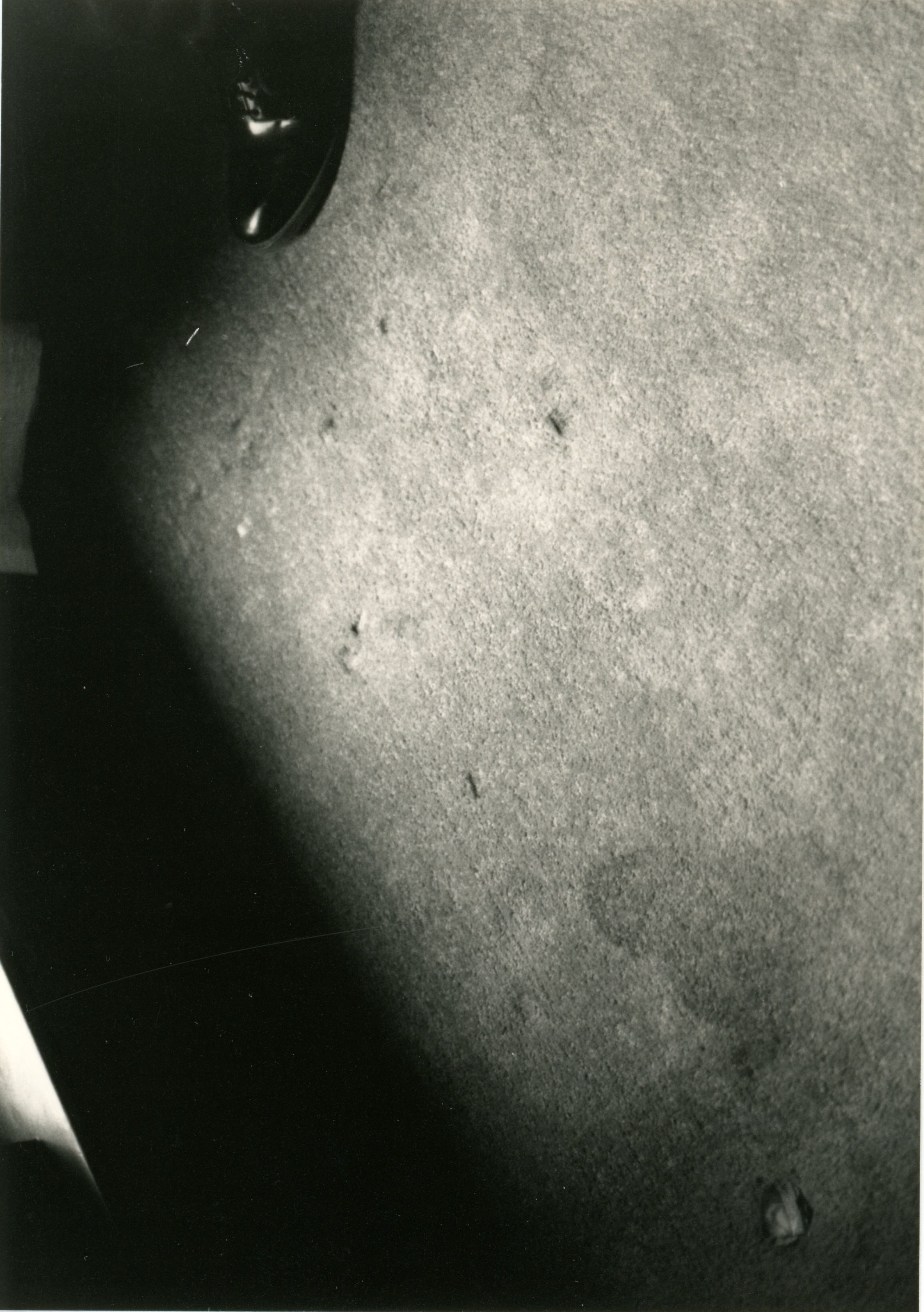 carpet in dining room under high boy