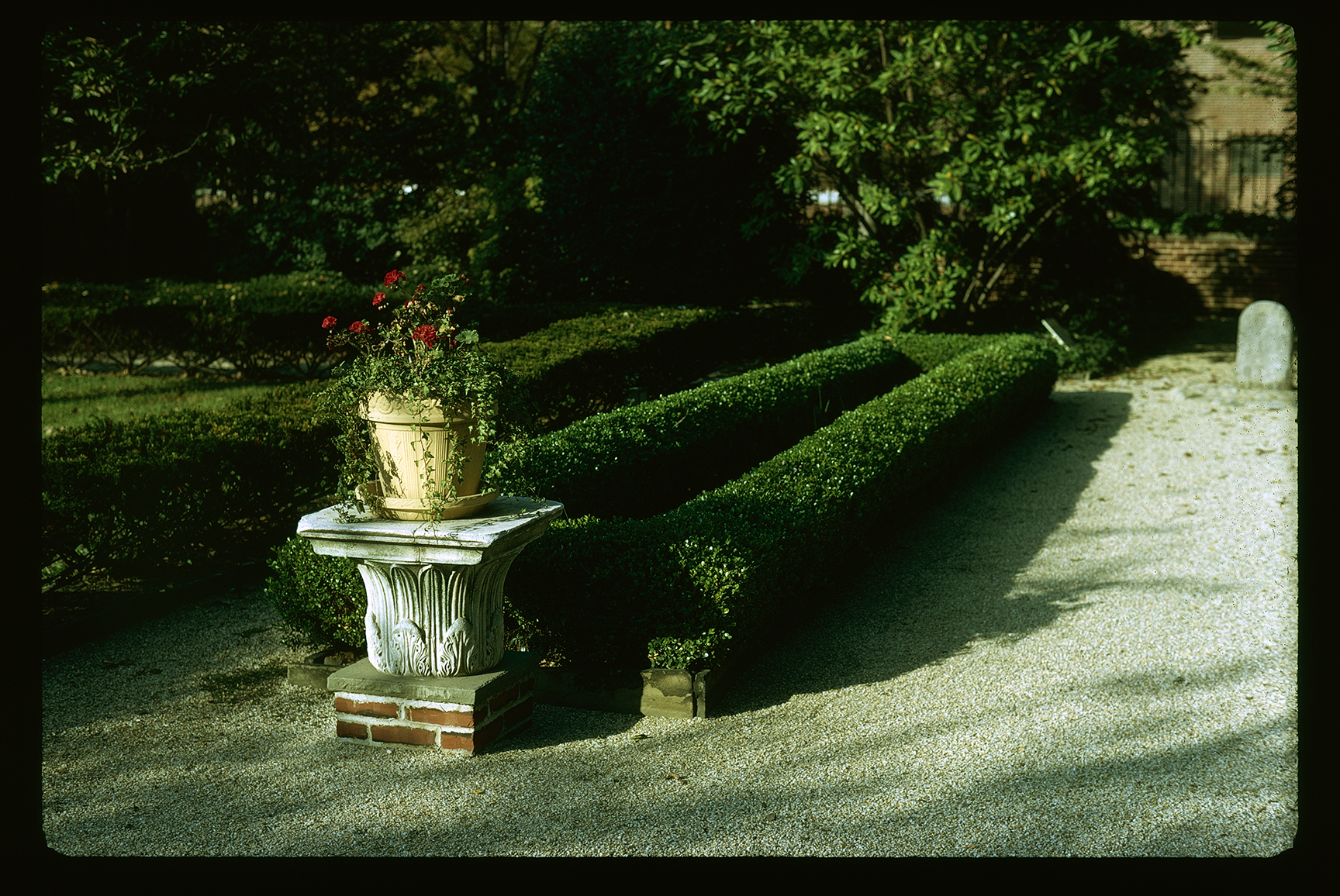 Contributor ship garden, 4th & Walnut