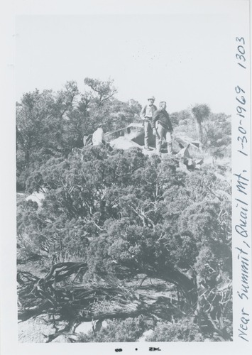Black and white image of Quail Mt., near summit