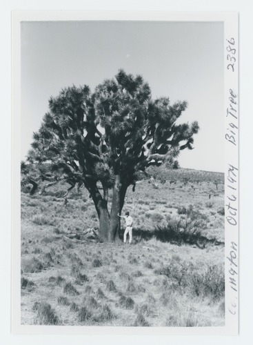 Black and white image of Covington area