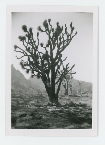 Black and white image of Randolph Fire