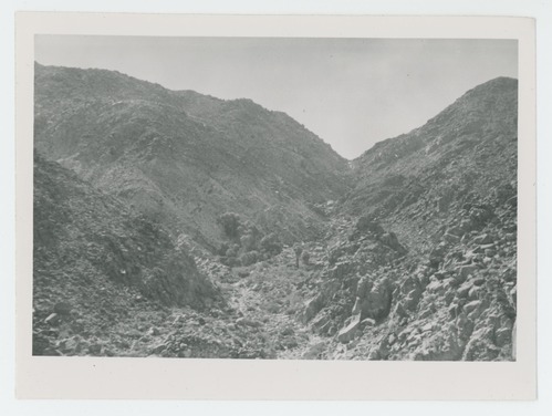 Black and white image of 49 Palms Oasis and Canyon
