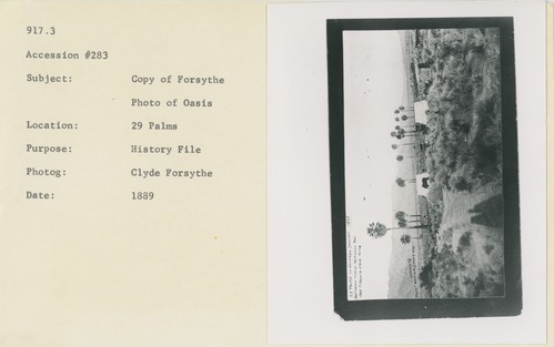 Black and white image of Forsythe photo of 29 Palms Oasis