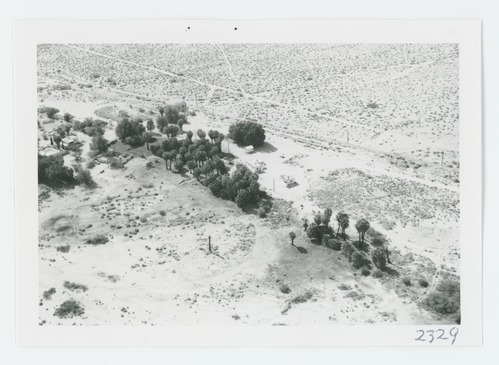 Black and white aerial image of 29 Palms Oasis