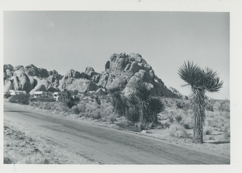 Black and white image of Indian Cove camping