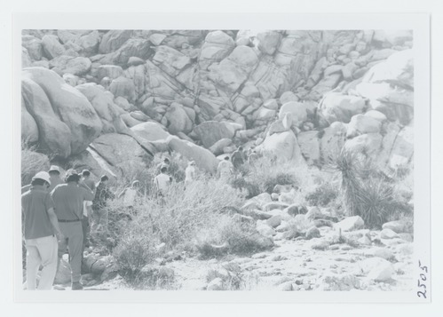 Black and white image of conducted walk in Indian Cove and Rattlesnake Canyon