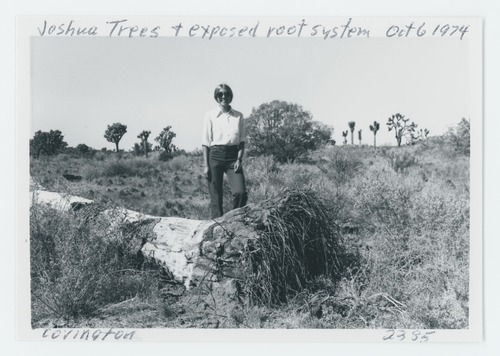 Black and white image of Covington area