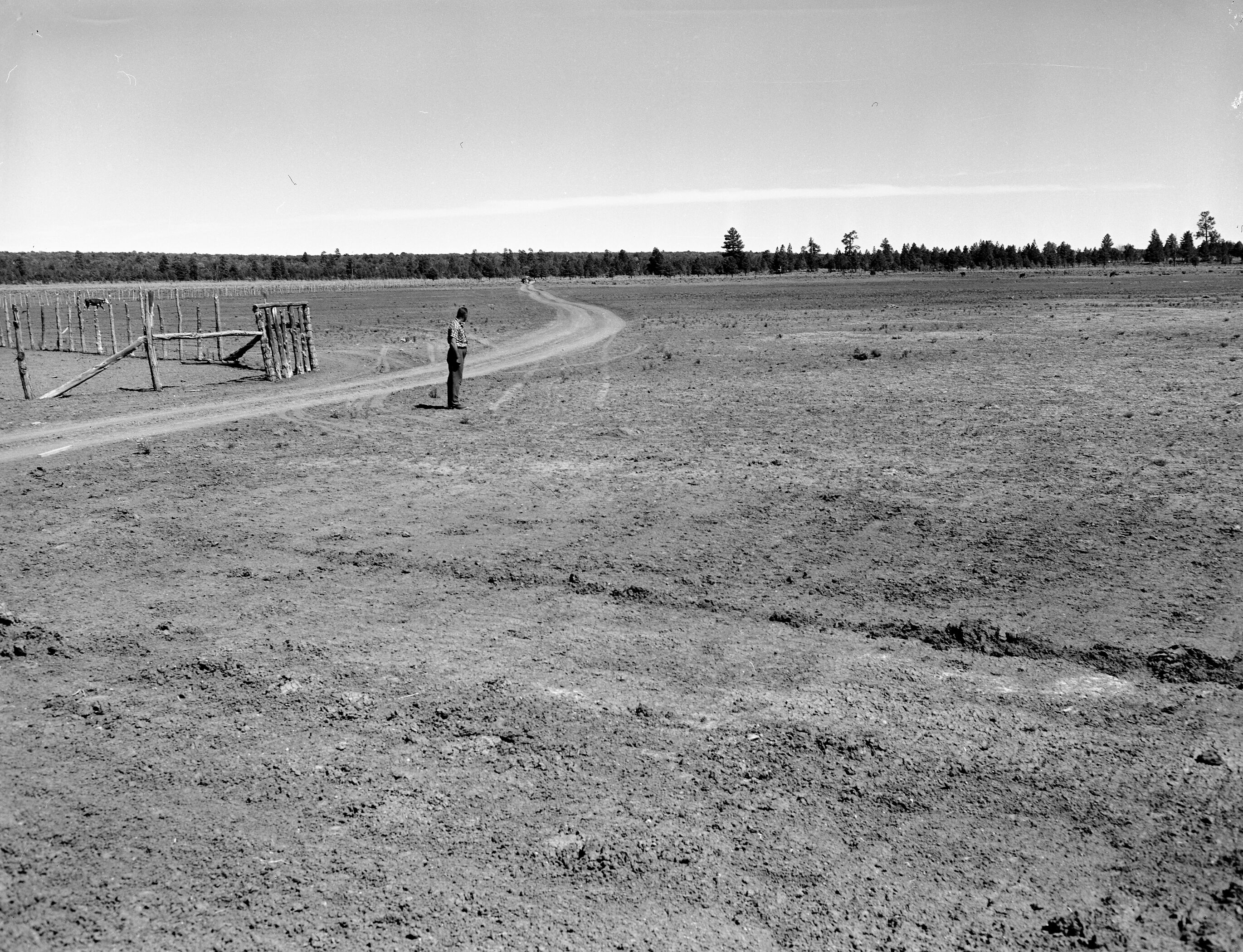 Road and Meadow - aircraft takeoff tracks