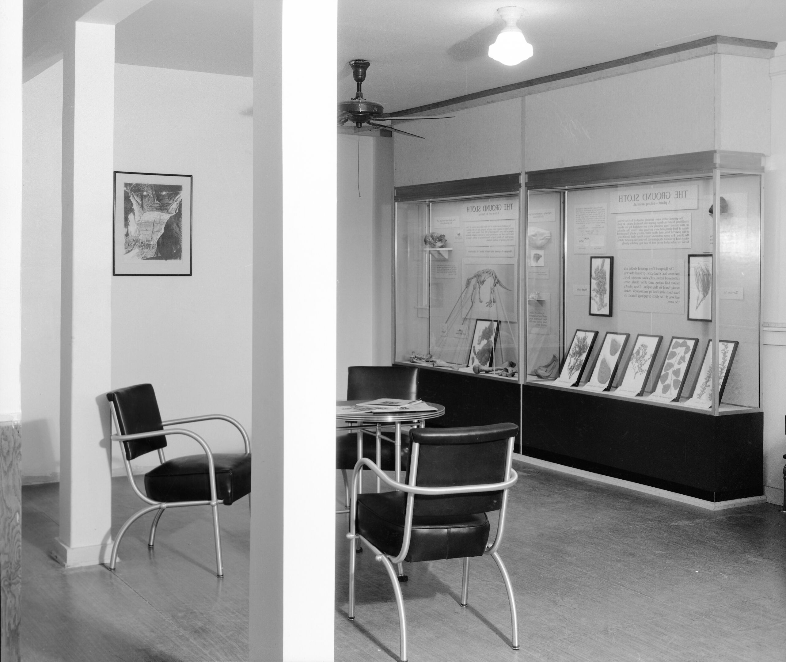 View in NPS Museum showing a portion of the Ground Sloth Exhibit and the rest nook