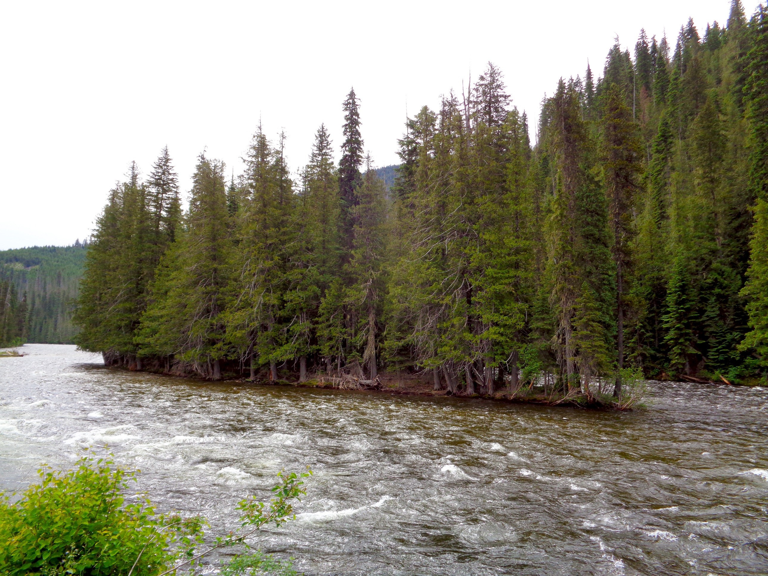 Colt Killed Creek Campsite
