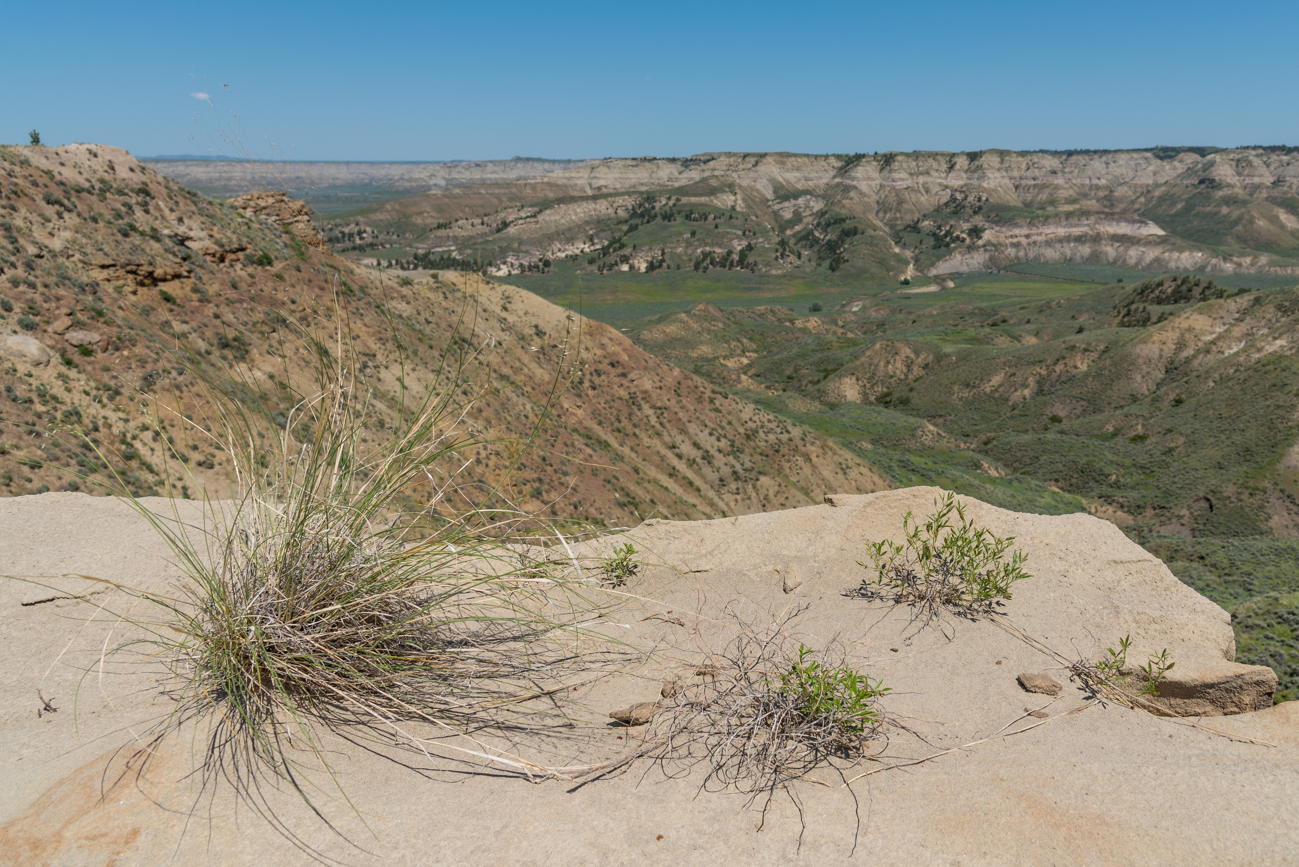 Vista sweeps past sand rock and shrubs to a rolly valley of layered rock and grasses