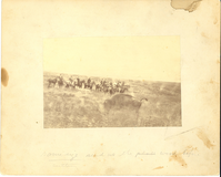 Group on Horseback with a Running Buffalo in the Foreground, During a Hunting Party for Lord Waterpark Hosted By George Armstrong Custe