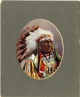 Chief Little Would [Sioux] Wearing a Silver Medallion