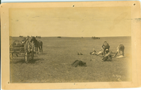 Butchering a Steer at the Pine Ridge Agency, South Dakota