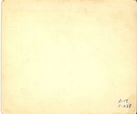 Man on a Mule in a Cornfield