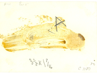 7th Cavalry on Historic Custer Battlefield