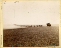 Skirmish Line at the Point Where Custer Dismounted on the Battlefield