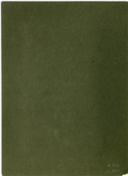 Hollow Horn Bear and an Unidentified Women in Traditional Dress