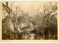 Cheyenne Fighting Positions on the Washita River