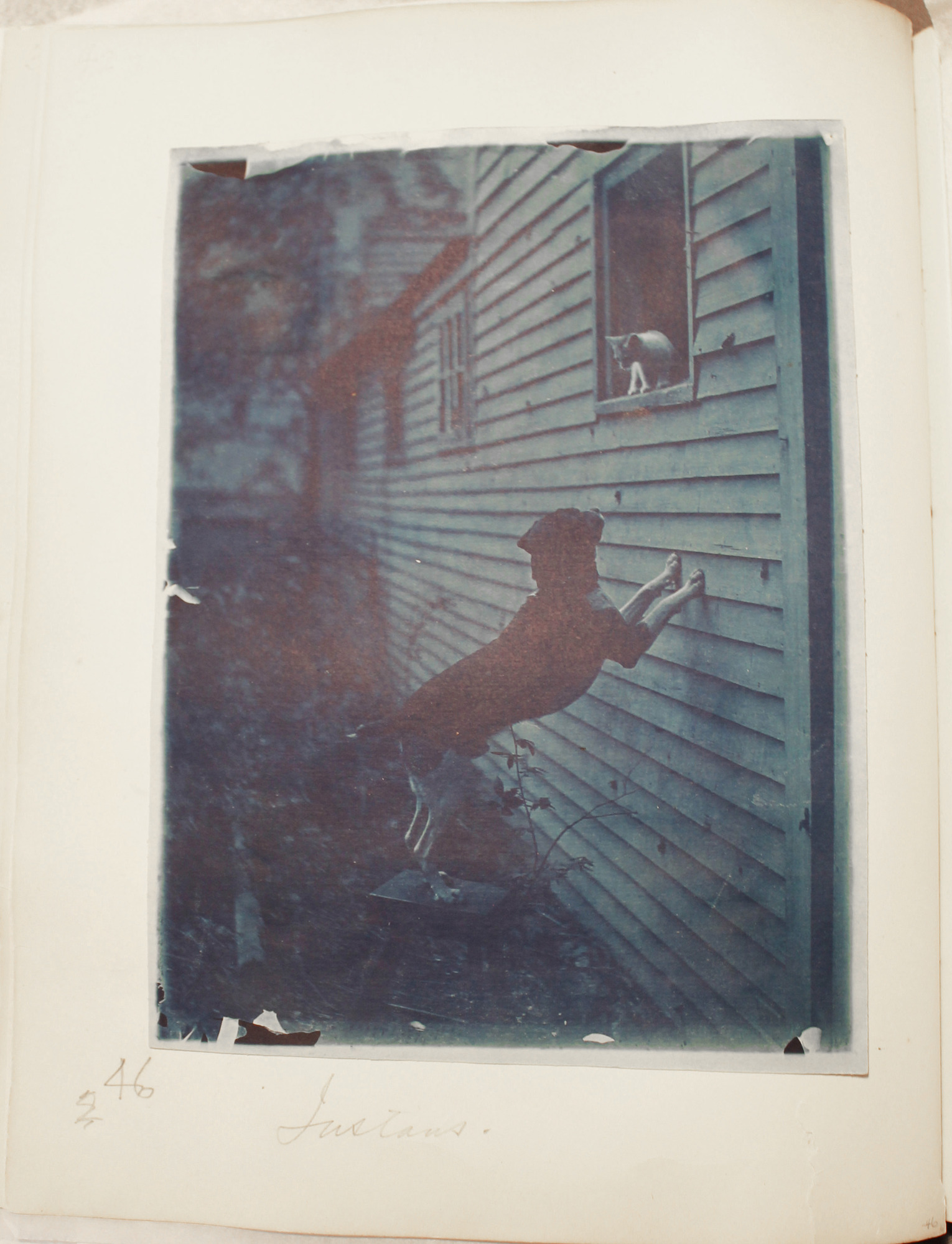 Blue toned photo of  dog stands on stool with front paws on side of house and looks up at kitten looking out window.