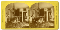 Stereoview of 19th century parlor featuring floral printed carpet and walls as well as Rococo revival furniture.