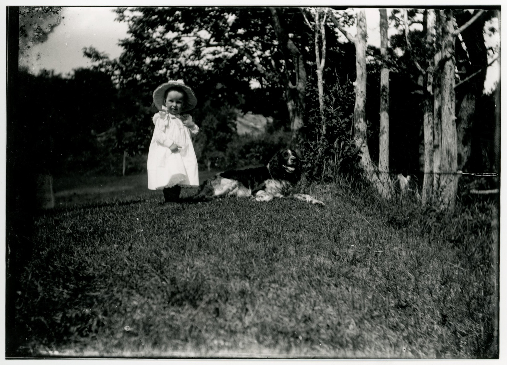 A young white girl, possibly toddler aged, in a wide-brimmed hat stands next to an English Springer Spaniel dog lying in the grass. Trees at right and in background.