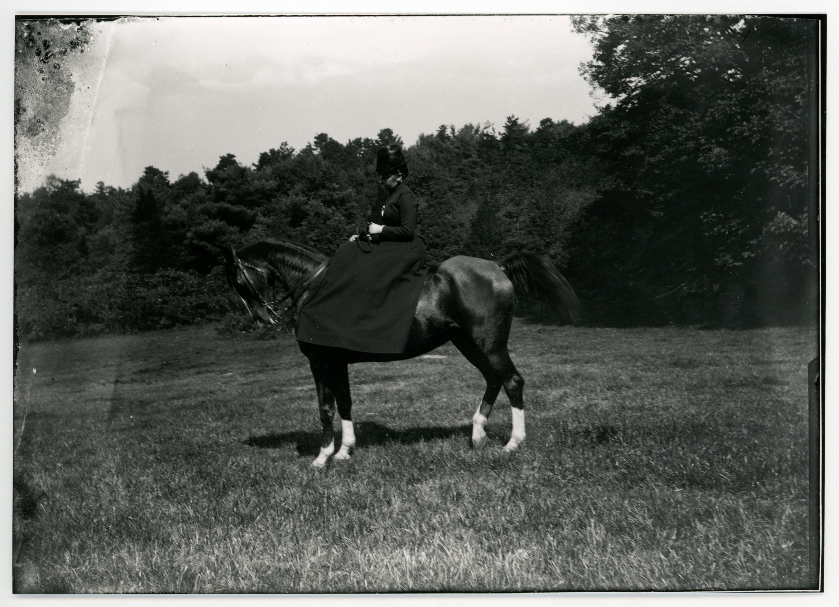 A white woman in dark-colored clothing sits sidesaddle on a dark-colored horse in the middle of a field of grass. Trees in background.