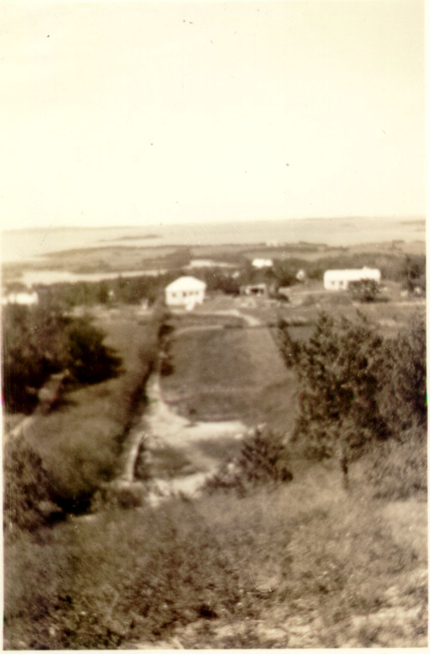 Houses and coastline