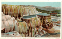 No. 105 - Mammoth Hot Springs - Yellowstone Park (Postcard)