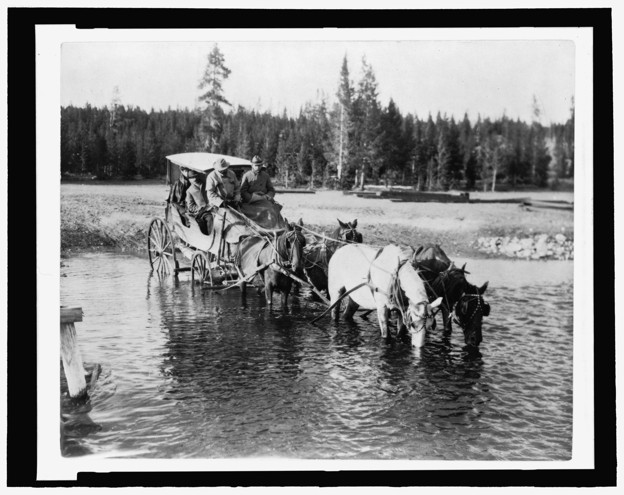 (Fording the Firehole River, near Fountain Hotel, Yellowstone National Park)